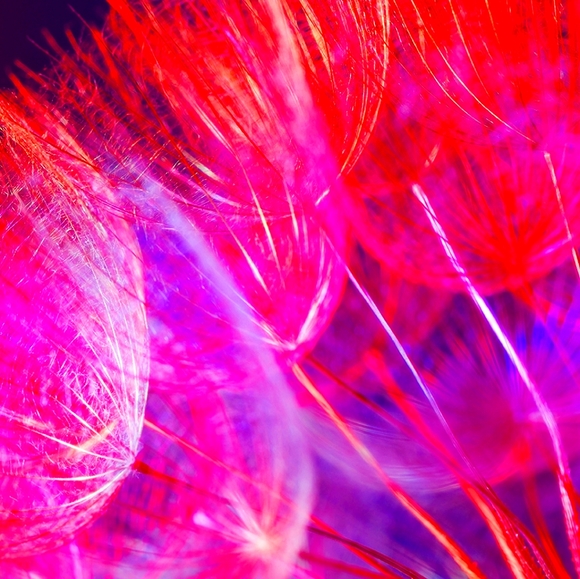 Buy it Now or Offer - Picture 1 of 1